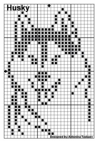 Жаккард хаски схема для варежек