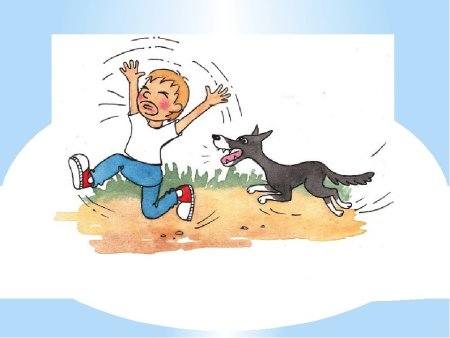 Мальчик убегает от собаки