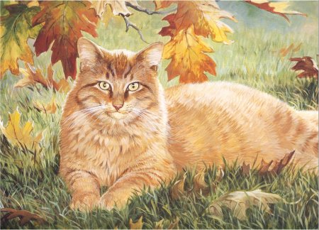 Кошки Персис Клейтон Вейерс картины