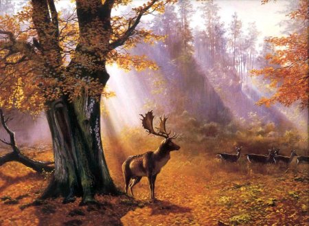 Пейзаж леса с животными