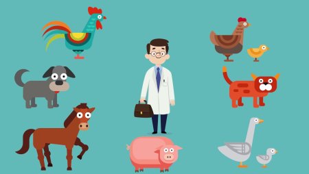 Ветеринар для детей