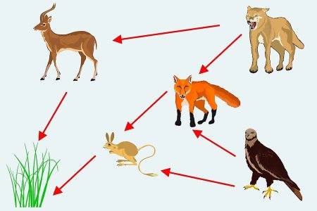 Нарисовать цепь питания