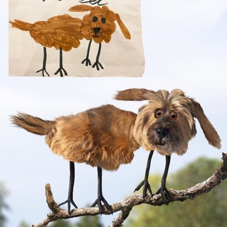 Животные с детских рисунков в реальности