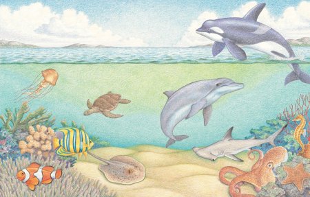 Рисунок водных животных