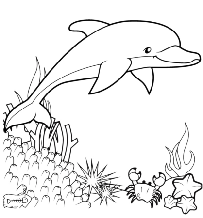 Раскраска Дельфин