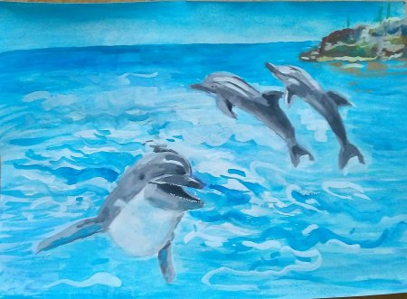 Морские обитатели раскраски для детей