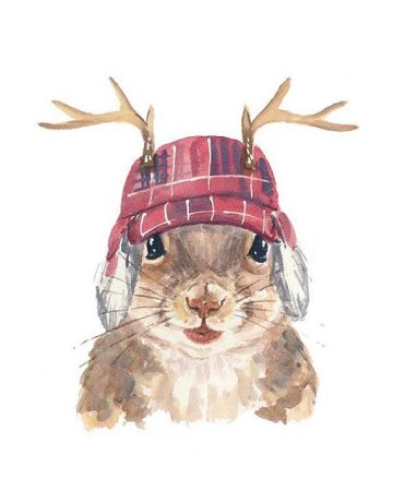 Акварель животные в шапках