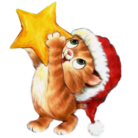 Новогодний котик