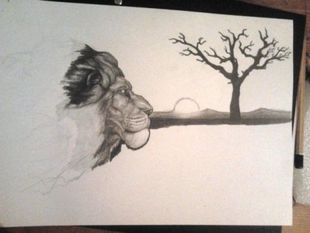 Рисунки зверей карандашом