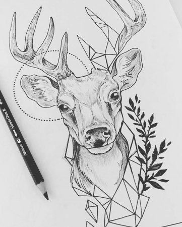 Лошадь карандашом