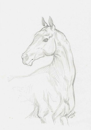 Кошка карандашом