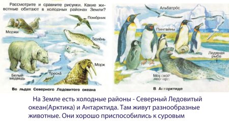 Обитатели холодных районов