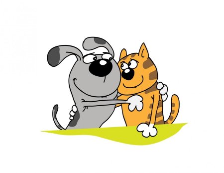 Наложенные изображения животных