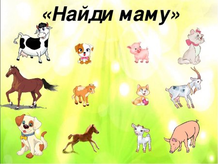 Найди маму домашние животные