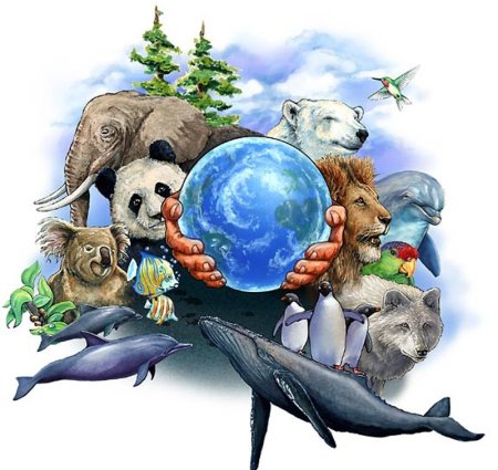 Живые существа нашей планеты