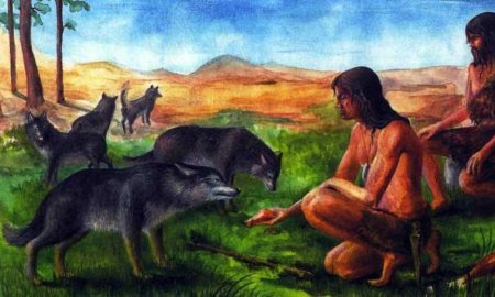 Древние люди приручили собаку