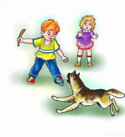 Пищевые Цепочки 2 класс окружающий мир