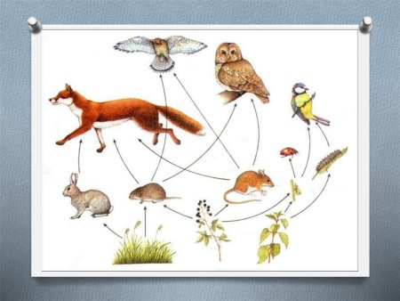 Рисунок на тему сопереживание