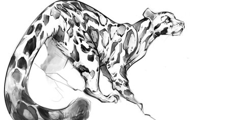 Ягуар референс