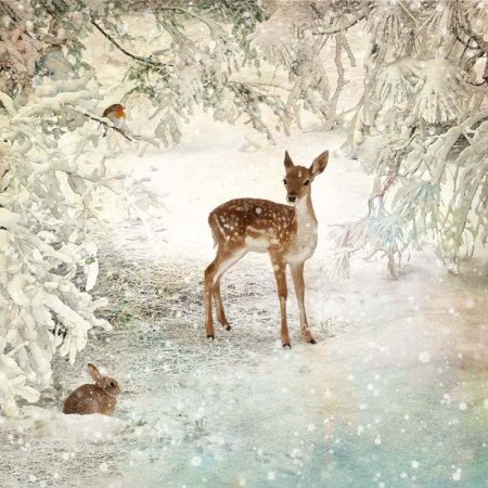 Jane Crowther художница