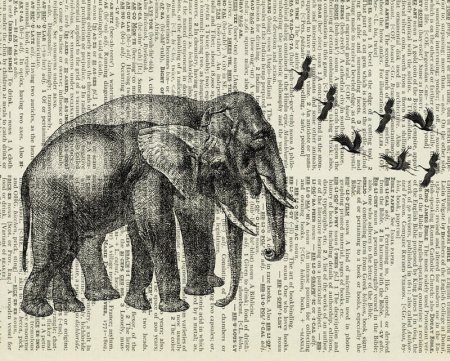 Рисунки на книжных листах