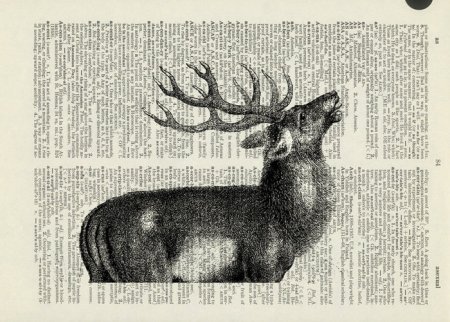 Шаблон для декупажа олень на газете