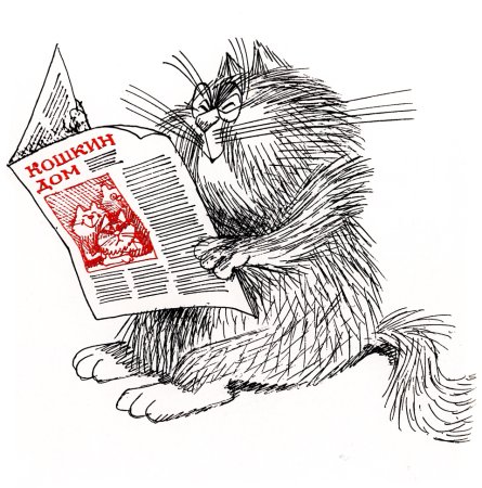 Виктор Чижиков Планета кошек