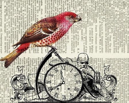 Рисунки на книжных страницах