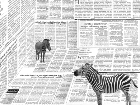 В Африке зебры газету читали Автор