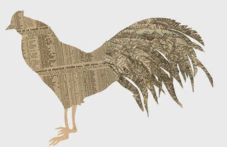 Птичка из газет и журналов