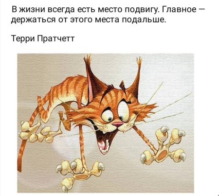 Смешные Рисованные картинки