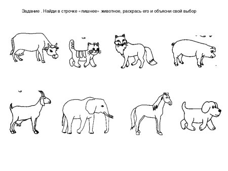 Домашние животные задания