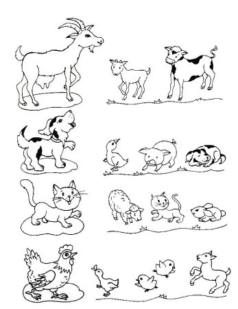 Ребенок и животное