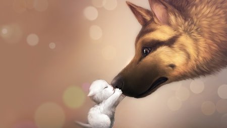 Арты с животными