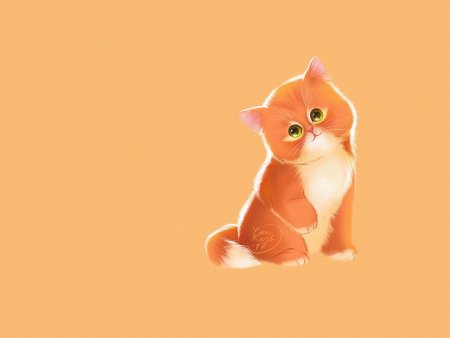 Котик на однотонном фоне