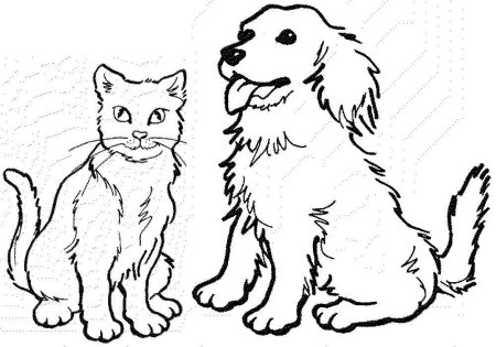 Раскраска кошечки собачки