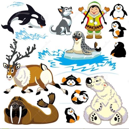 Животные севера для детей