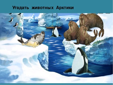 Обитатели Арктики для вырезания