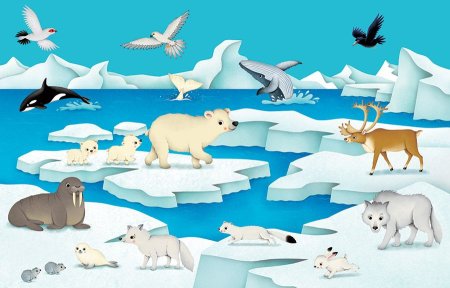 Антарктида для детей