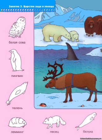 Животные севера для детей