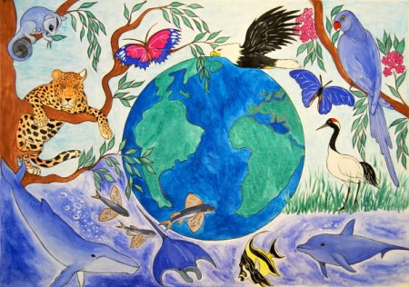 Рисунки животных из красной книги