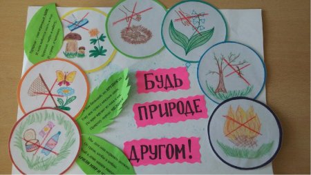 Природа наш дом рисунки