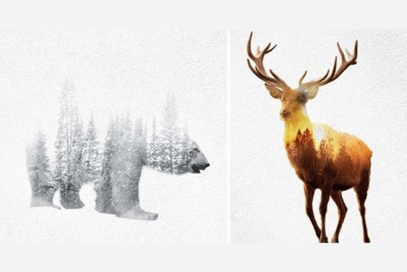 Двойная экспозиция олень