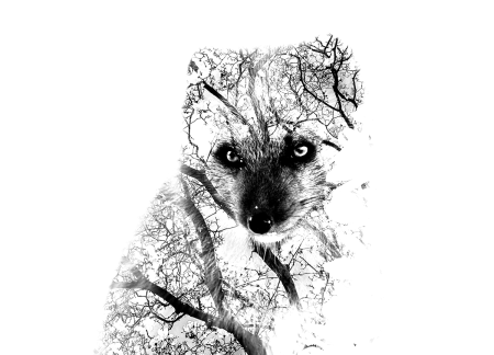 Двойная экспозиция собака