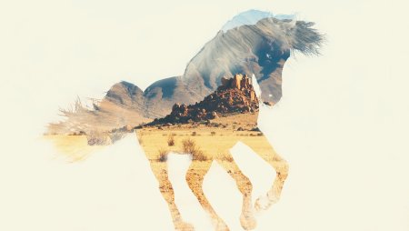 Двойная экспозиция животные