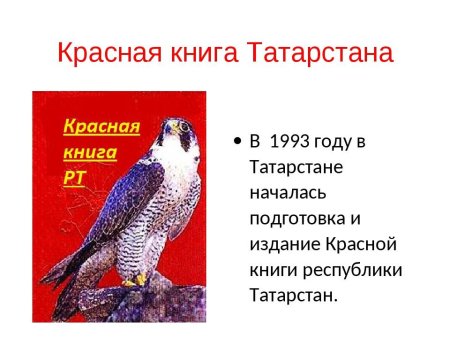 Птицы Татарстана занесенные в красную книгу Татарстана