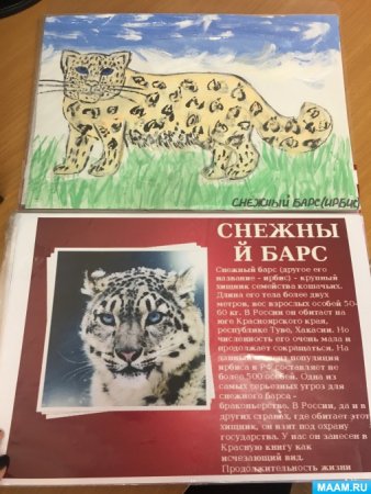 Красная книга школа Барс