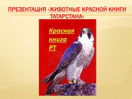Филин красная книга Татарстана