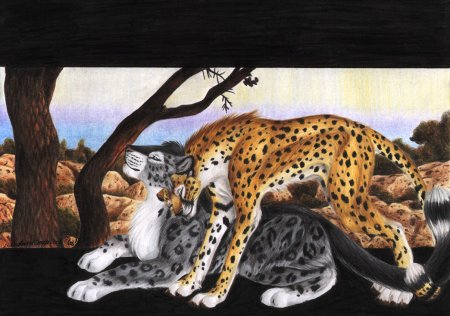 Леопарды гепарды и волки