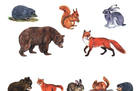 Лесные животные для детей